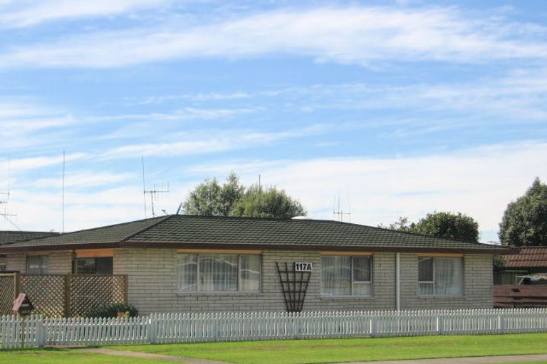 Photo of property in 117 Chapel Street, Otumoetai, Tauranga, 3110
