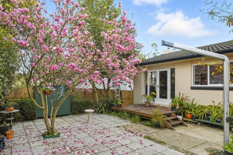 Photo of property in 79 Kawiu Road, Levin, 5510