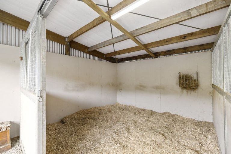 Photo of property in 598 Esdaile Road, Whakamarama, Tauranga, 3180