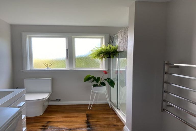 Photo of property in 162 The Ridgeway, Mornington, Wellington, 6021