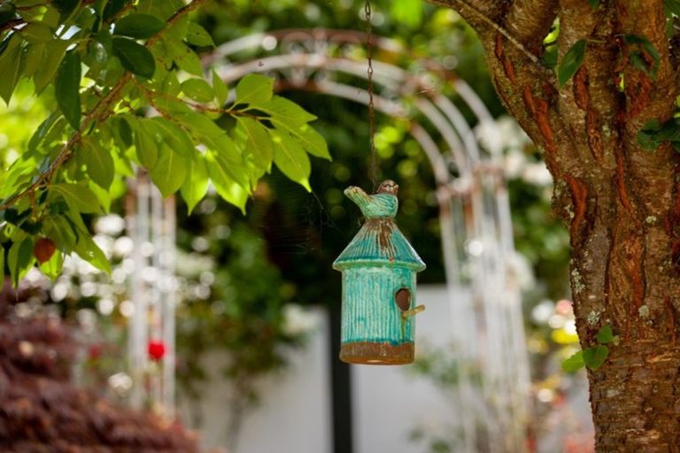 Photo of property in 6 Ruru Crescent, Putaruru, 3411