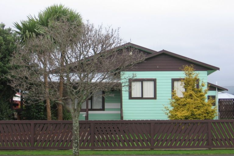 Photo of property in 9 Mckenzie Street, Levin, 5510