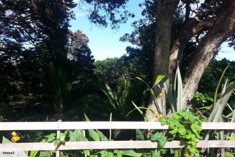 Photo of property in 195 Motutara Road, Muriwai, Waimauku, 0881