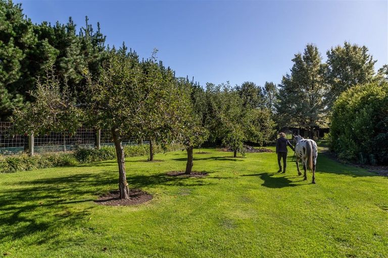 Photo of property in 313 Plaskett Road, Fernside, Rangiora, 7471