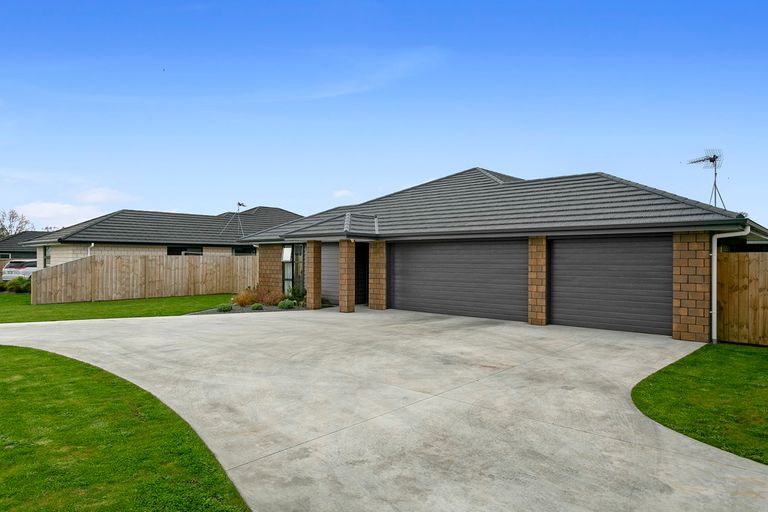 Photo of property in 5 Moroney Place, Matamata, 3400