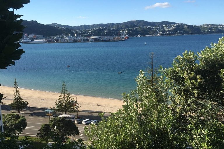 Photo of property in 5/20 Hay Street, Oriental Bay, Wellington, 6011