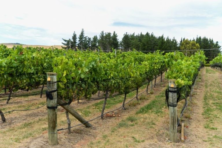 Photo of property in 3760 State Highway 50, Maraekakaho, 4171