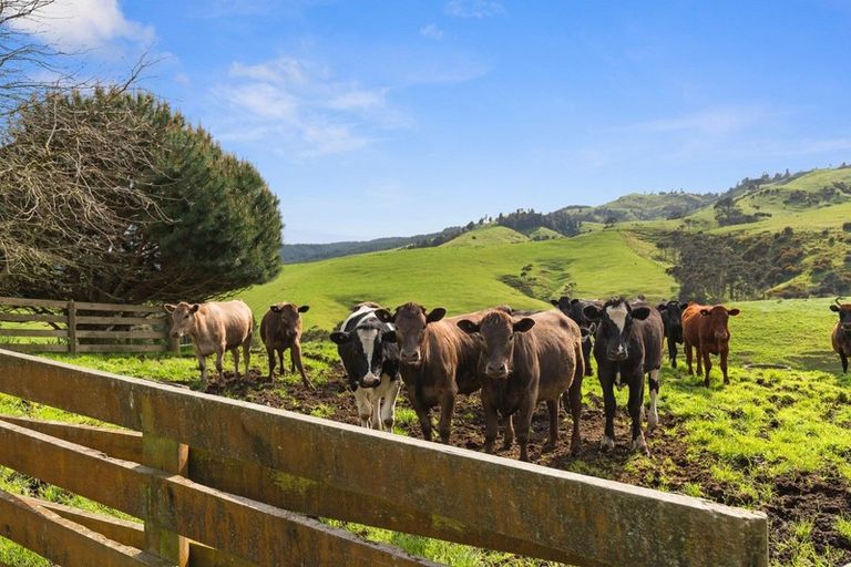 Photo of property in 284 Elgood Road, Glen Massey, Ngaruawahia, 3793