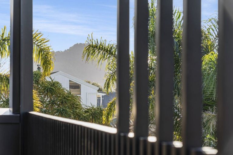 Photo of property in 56b Campbell Road, Mount Maunganui, 3116