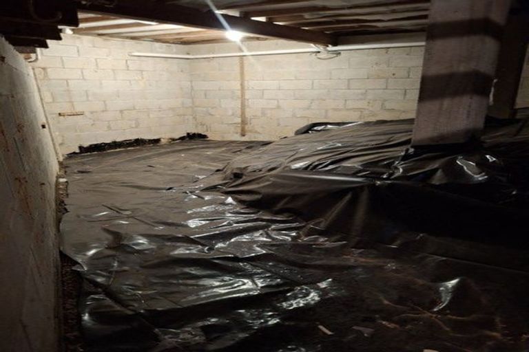 Photo of property in 19 Mcauley Road, Portobello, Dunedin, 9014