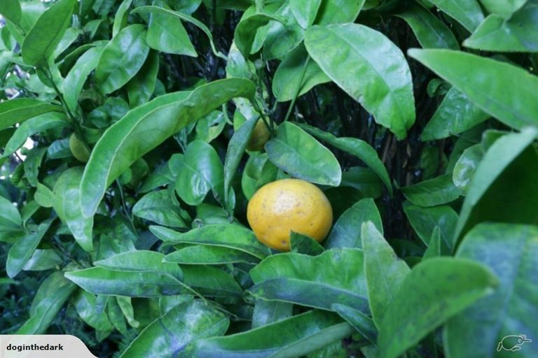 Photo of property in 43 Gordon Road, Plimmerton, Porirua, 5026