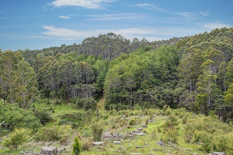 Photo of property in 259 Diggers Valley Road, Herekino, Kaitaia, 0481