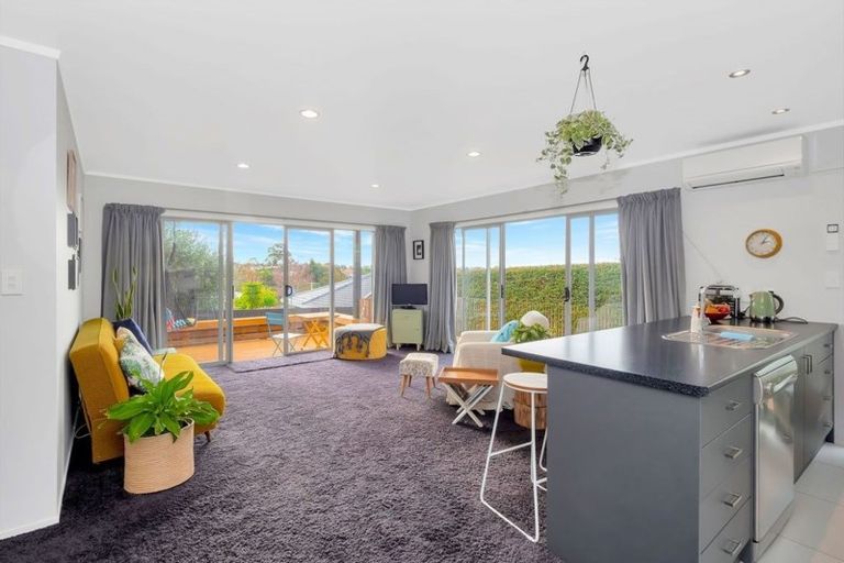 Photo of property in 65 Harrier Street, Parkvale, Tauranga, 3112