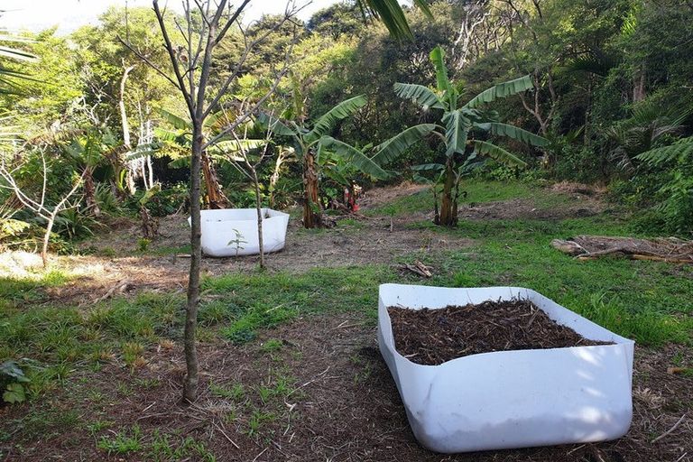 Photo of property in 15 Puriri Place, Tuateawa, Coromandel, 3583