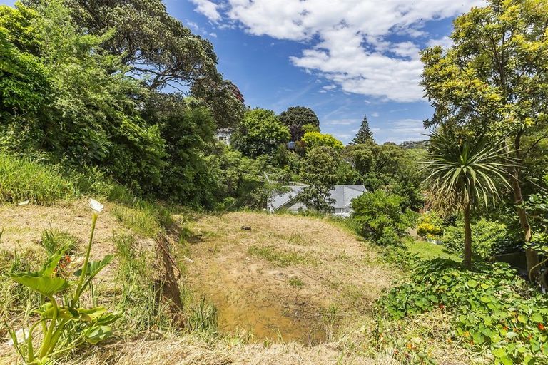 Photo of property in 3a Busaco Road, Hataitai, Wellington, 6021