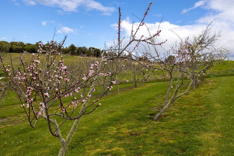 Photo of property in 382 Pomona Road, Tasman, Upper Moutere, 7173