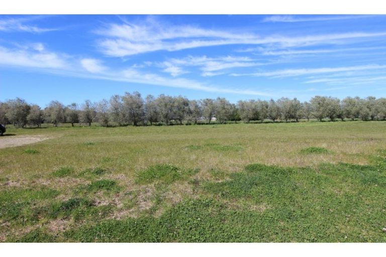 Photo of property in 17 Catalina Crescent, Forrest Hill, Auckland, 0620