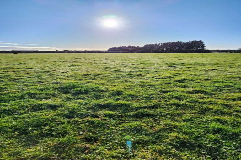 Photo of property in 5 Robson Court, Gate Pa, 3112