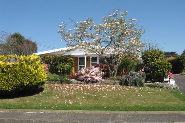 Photo of property in 8 Carlton Street, Glenholme, Rotorua, 3010