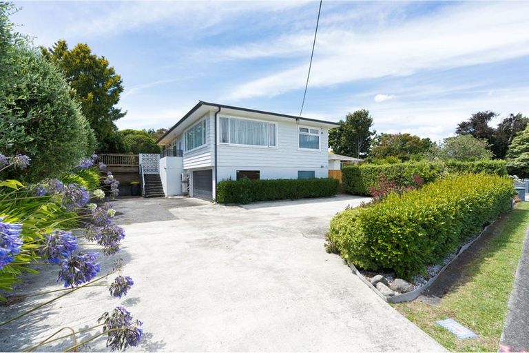 Photo of property in 25 Macarthur Street, Levin, 5510