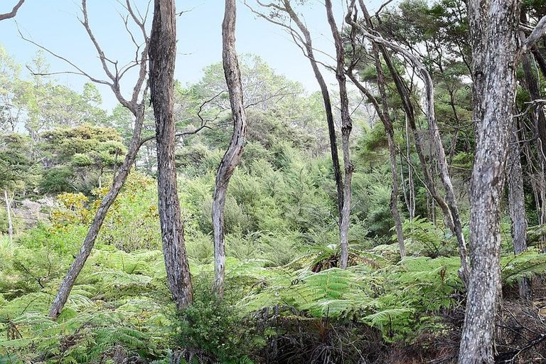 Photo of property in 4 Wilson Avenue, Kawau Island, 0920