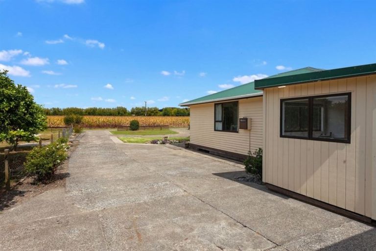 Photo of property in 747c Rewatu Road, Poroporo, Whakatane, 3191