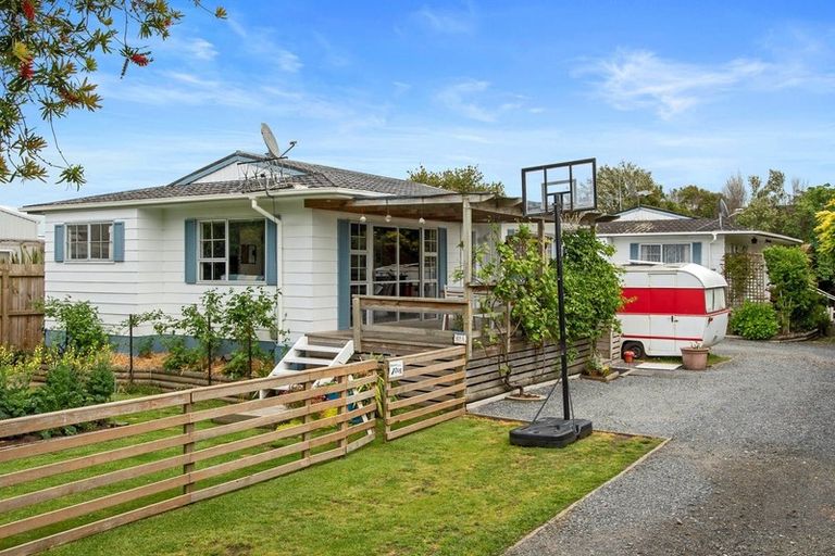 Photo of property in 62a Alison Street, Hamilton Lake, Hamilton, 3204