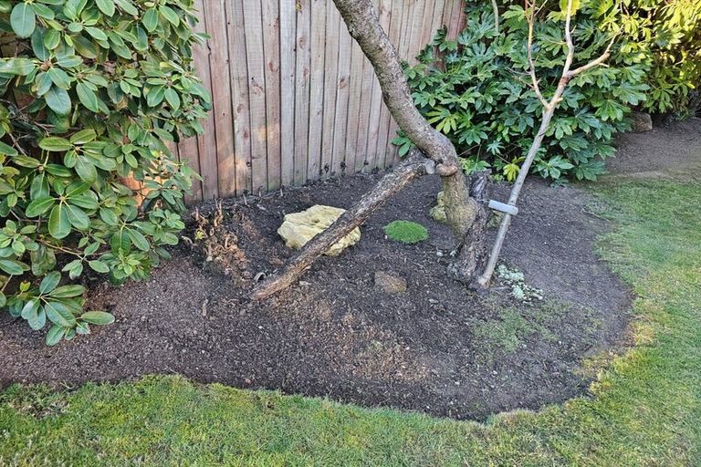 Photo of property in 32 Springbank Street, Bryndwr, Christchurch, 8053