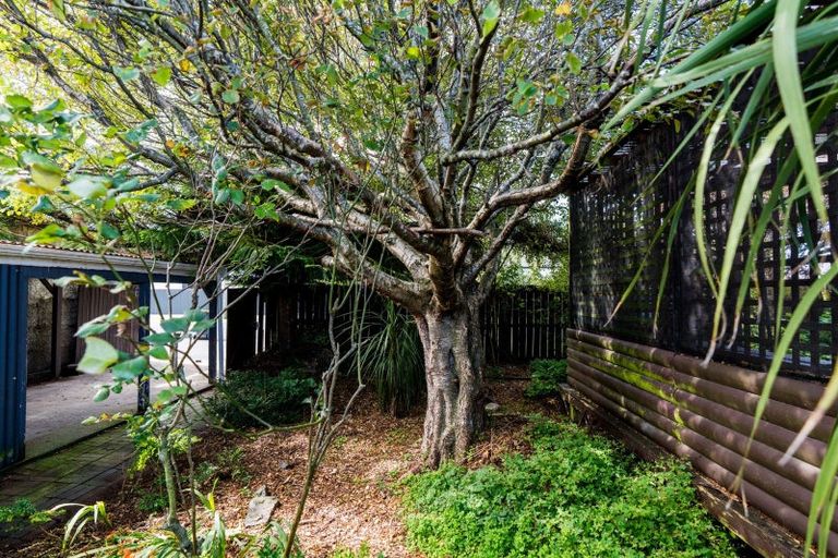 Photo of property in 40 Jackson Street, Saint Kilda, Dunedin, 9012