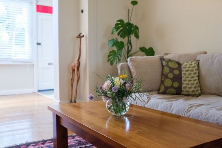 Photo of property in 48 Melville Street, Dunedin Central, Dunedin, 9016