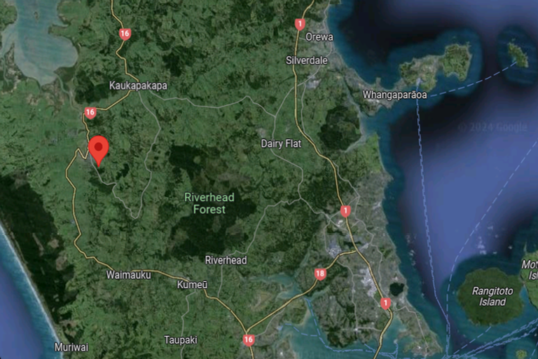 Photo of property in 28 Mahi Road, Helensville, 0800