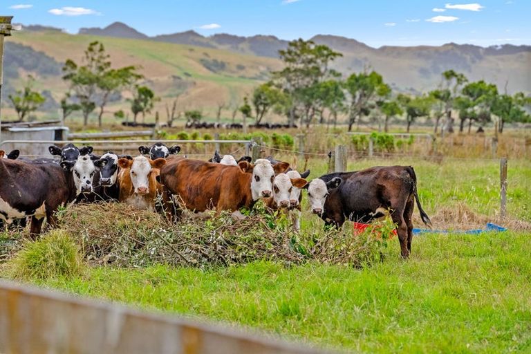 Photo of property in 331 South Head Road, South Head, Helensville, 0874