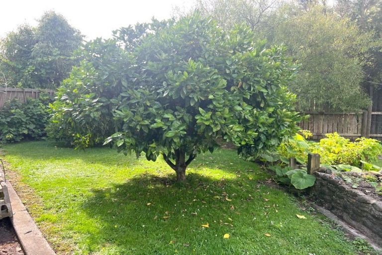 Photo of property in 15 Whio Street, Pongaroa, 4991