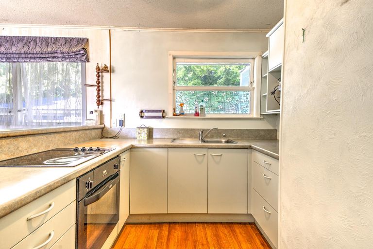 Photo of property in 105 Rimu Street, Maeroa, Hamilton, 3200