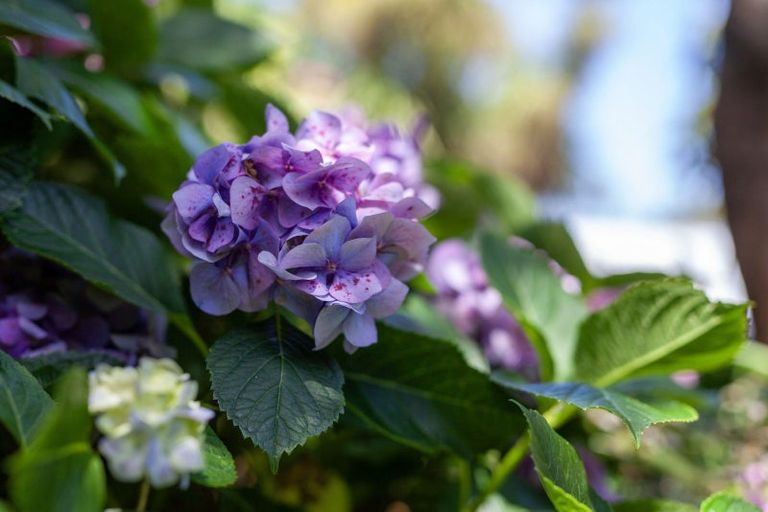 Photo of property in 7 Kawau Grove, Waikanae Beach, Waikanae, 5036