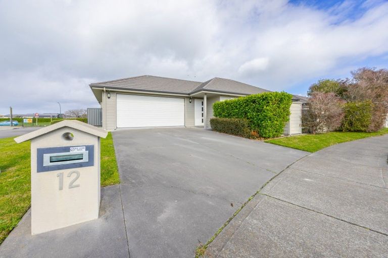 Photo of property in 12 Drake Crescent, Awatoto, Napier, 4110