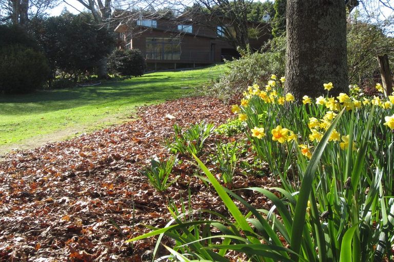 Photo of property in 38 Grammar Street, Kimbolton, 4777