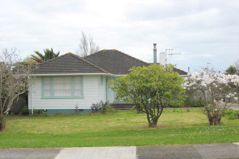 Photo of property in 9 Edinburgh Street, Levin, 5510
