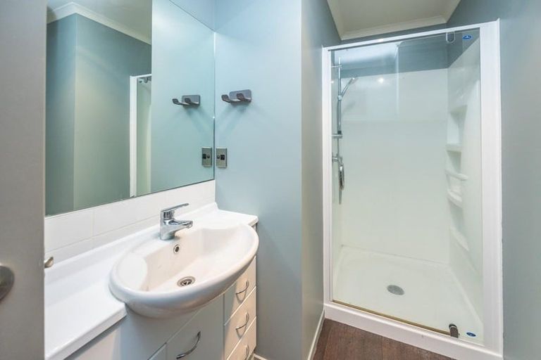 Photo of property in 56f Willoughby Street, Whitiora, Hamilton, 3200