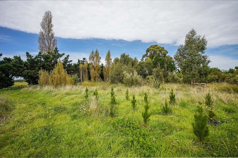 Photo of property in 705 Domett Road, Domett, Cheviot, 7382