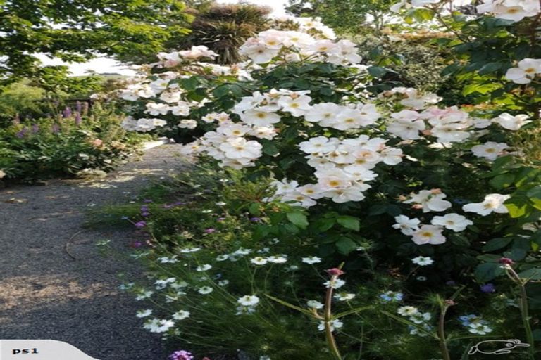 Photo of property in 801 Martinborough Masterton Road, Longbush, Masterton, 5884