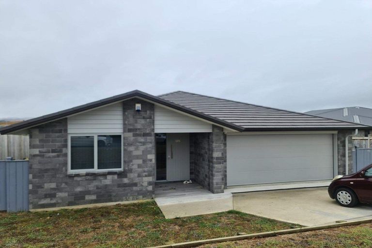 Photo of property in 17 Gibboney Place, Pokeno, 2402