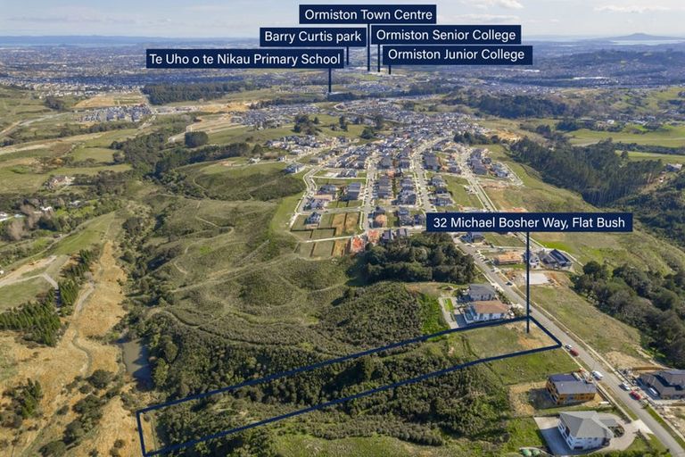 Photo of property in 32 Michael Bosher Way, Flat Bush, Auckland, 2019