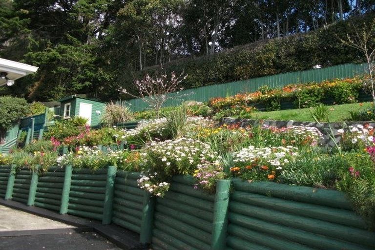 Photo of property in 39 Brunner Street, Nelson South, Nelson, 7010