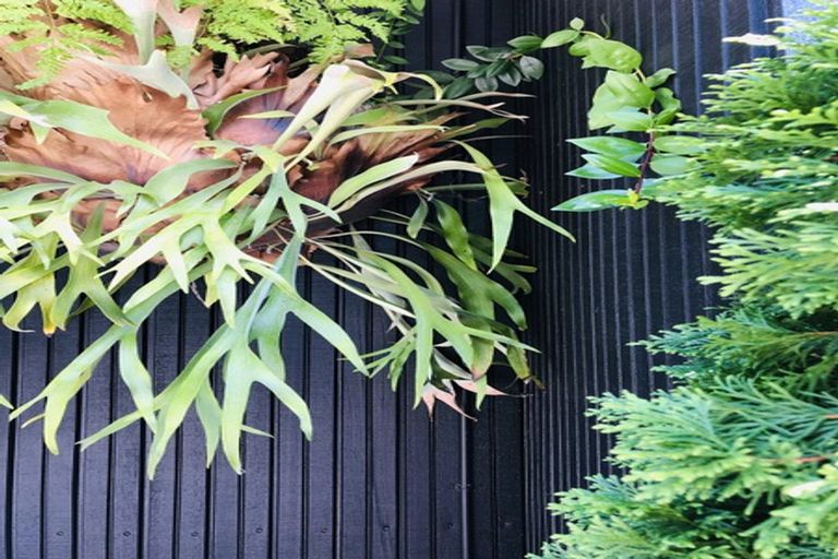 Photo of property in 6/29a Birdwood Crescent, Parnell, Auckland, 1052