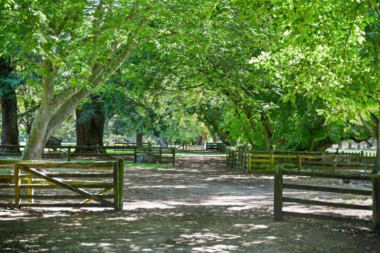 Photo of property in 781c Bruntwood Road, Tamahere, Hamilton, 3283