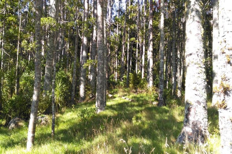 Photo of property in 40b Upland Road, Huia, Auckland, 0604