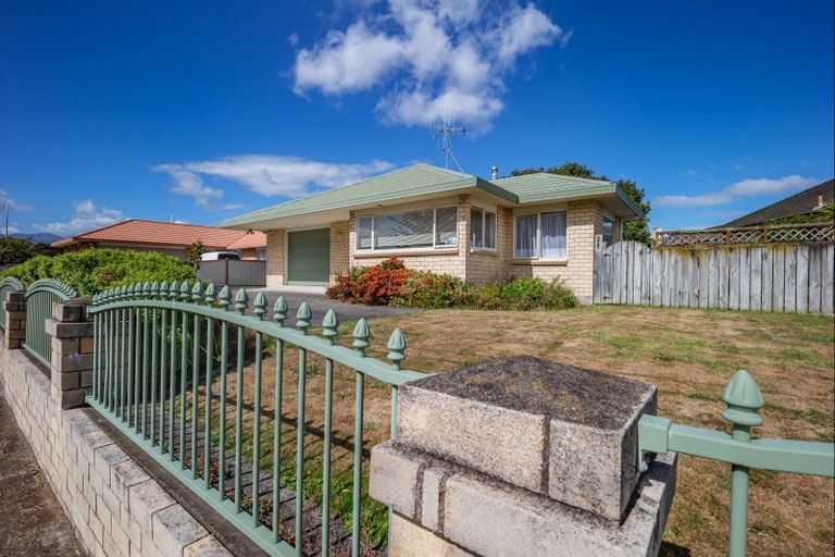 Photo of property in 174 Bath Street, Levin, 5510