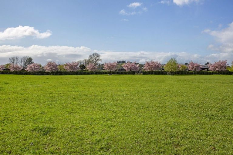 Photo of property in 373 Mystery Creek Road, Ohaupo, 3881