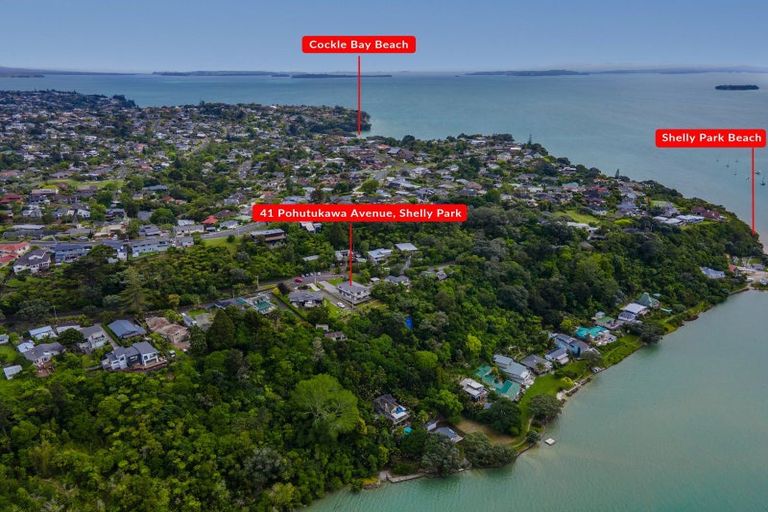 Photo of property in 41 Pohutukawa Avenue, Shelly Park, Auckland, 2014